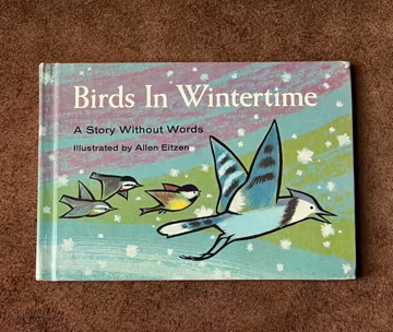 BIRDS IN WINTERTIME - vintage 60s childrens book - awesome illustrations