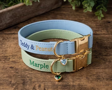 Custom Dog Collar, Personalized Dog Collar with Name, Embroidered Puppy Collar, Heart Charm Accessory, Gotcha Day Gift, Gift for Dog Lover