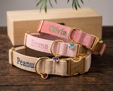 Personalized Dog Collar, Embroidered Puppy Collar, Custom Pet Name Collar, Dog Collar with Bling Charm, Gift for Dog Lover, New Pet Present