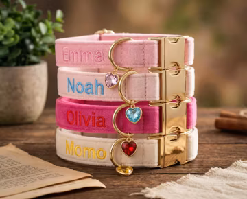 Custom Dog Collar, Personalized Dog Collar, Embroidered Dog Collar with Heart Charm, Cute Puppy Accessories, Dog Mom Gift, Gotcha Day Gift