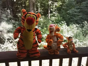 Vintage Tigger Plushies 6, 12, and 16 inch