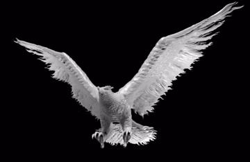 Phoenix | DnD Gargantuan Miniature | Resin | 28mm Scale | 3 Versions