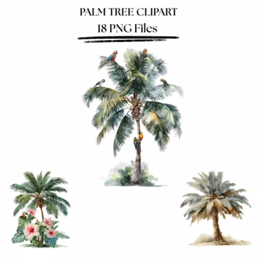 Palm Tree Clipart PNG Bundle | Tropical Island & Beach Trees | Summer Nature Digital Download