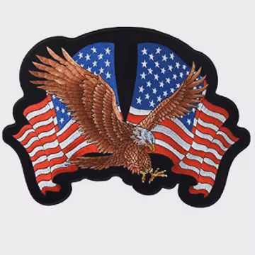 USA Eagle Patch Embroidered American Flag Patriotic Badge