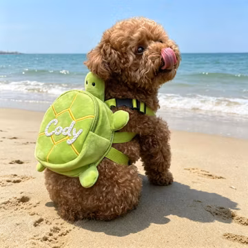 Personalized Pet Harness Set with Backpack, Doggy Hiking Backpack, Embroidered Pet Name Travel Bag, Dog Outdoor Supplies, Dog Lover Gift