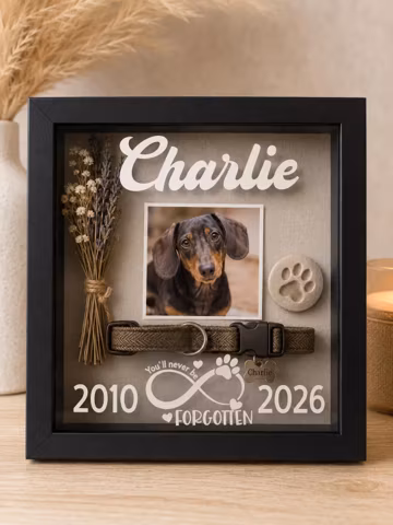 Personalized Pet Memorial Shadow Box, Custom Dog or Cat Keepsake Frame, Pet Loss Sympathy Gift, Memory Box with Name and Dates