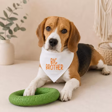 Big Brother Dog Bandana,Personalized Big Brother Dog Bandana Embroidered,Dog Pregnancy Announcement