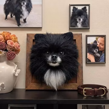 Custom 3D Wool Felt Pet Bust Sculpture - Bespoke Framed Dog Cat Wall Art