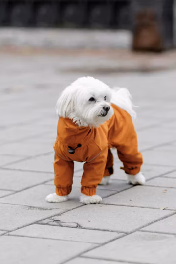Made to Measure raincoat, custom Waterproof Dog Coat | Handmade Rain Jacket for Dogs | Outdoor Dog Apparel | Fleece or Lightweight costume