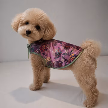 Handmade Dog Jacket, Luxury Dog Clothes, Designer Pet Coat, Premium Fabric Puppy Outfit, Custom Size Dog Apparel