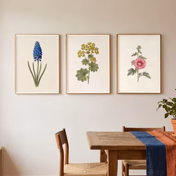 Vibrant Vintage Floral Prints Set of 3 | Botanical Gallery Wall Art Blue Pink Green Flowers | Digital Download Art