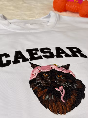 Custom Embroidered Cat Sweatshirt from Photo, Custom Pet Portrait Embroidered Shirt, Personalized Cat Lover Gift, Custom Dog Mom Sweatshirt