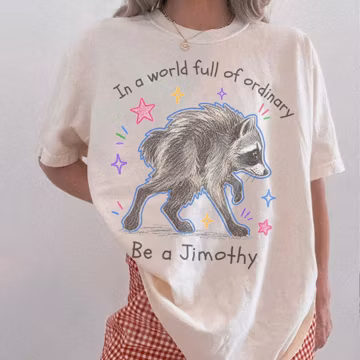 Jimothy Raccoon PNG, Be a Jimothy Funny Raccoon Meme Shirt Design, Preppy Jimothy Crayon Animal PNG, Raccoon Doodle Digital Download File