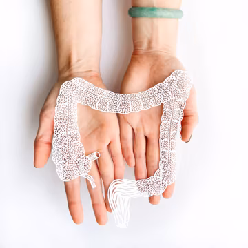 Anatomical Large Intestine Colon Papercutting Artwork - Doctor Medical Student Grad Artwork Gift