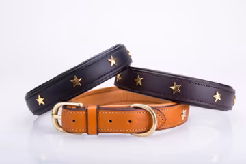 Pear Tannery Padded Leather Dog Collar With Star
