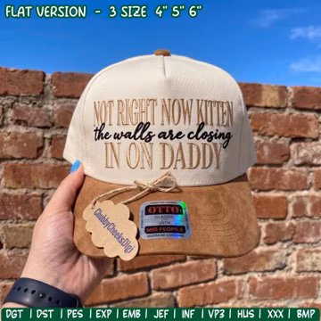 Not Right Now Kitten Cap Embroidery Design, Relatable Stressed Quote Cap Digital File, Retro Sarcastic Humor Womens Hat Machine File, PES
