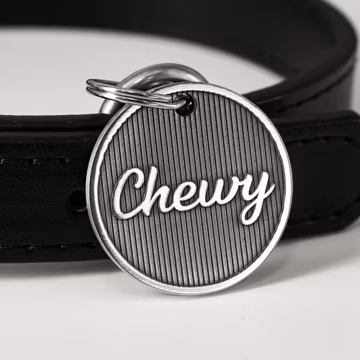 Personalized Geometric Stainless Steel Pet ID Tag for Dogs and Cats