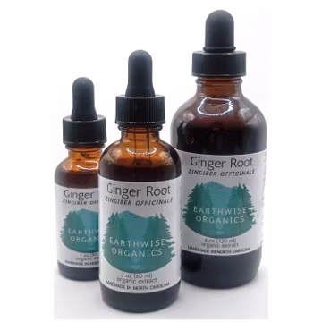 Organic Ginger Root Extract • Handcrafted Herbal Tincture • North Carolina Made