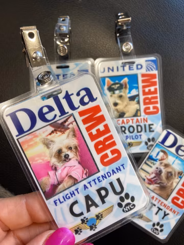 Personalized Pet ID card, Airline badge for your Dog or Cat! Pilot or Flight Attendant luggage tag