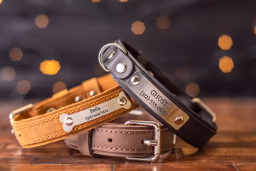Personalized Leather Dog Collar with Engraved Name Plate