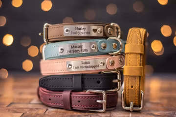 Personalized Leather Dog Collar with Engraved Name Plate | Custom Dog Collar with Name | Dog Gift, Dog Collar Personalized, Puppy Collar