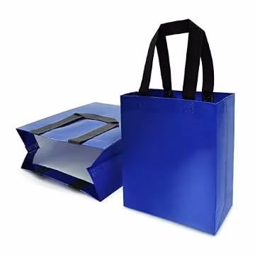 huichuan 12 Pack Blue Gift Bags with Handles, Reusable Small Gift Bag for Women Kids, Eco-Friendly Non-Woven Party Favor Goodie Bags Bulk for Valentine's Day, Birthday, Wedding, Baby Shower Treats