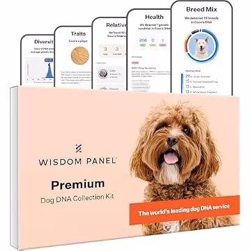 Wisdom Panel Premium Dog DNA Testing Kit - Most Comprehensive Test - 265+ Health Tests, 430+ Dog Breeds, 50+ Traits, Relatives, Ancestry, 1 Pack