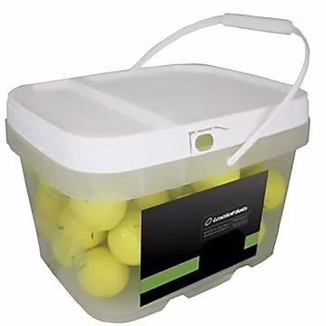LostGolfBalls - Bridgestone e6 Used Golf Balls, Mint, Yellow, 12 Pack