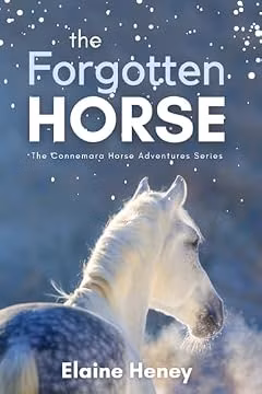 The Forgotten Horse - Book 1 in the Connemara Horse Adventure Series for Kids. The perfect gift for children age 8-12. (Connemara Adventures)