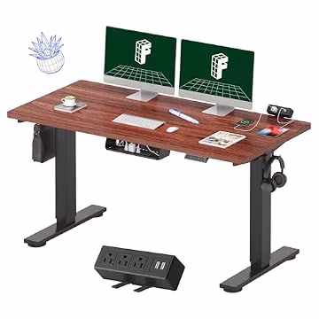 FLEXISPOT EN2 55"x28" Standing Desk with Power Strip Bundle, Mahogany