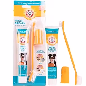 Arm & Hammer Enzymatic Dog Dental Care Kit, Chicken Flavor, 2.5 Oz Tube