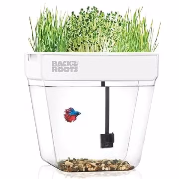Back to the Roots Indoor Aquaponic Garden - 3 Gallon Self Watering, Mess-Free Planter and Self-Cleaning Fishtank for Herbs, Microgreens, Bamboo, Succulents, and Houseplants, support Fish