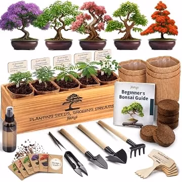 Bonsai Tree Kit Deluxe - Growing 5 Unique Japanese Bonzai Trees