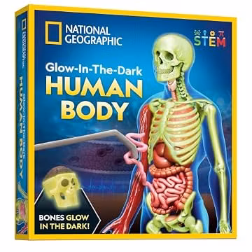 National Geographic Human Body Model for Kids 32-Piece Anatomy Set