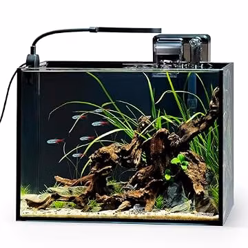 NICREW 2.5 Gallon Nano Nature Aquarium Kit, Ultra-Clear Rimless Desktop Fish Tank with Light and Filter, Perfect for Small Fish, Shrimp, or Betta, Basic Version, Black