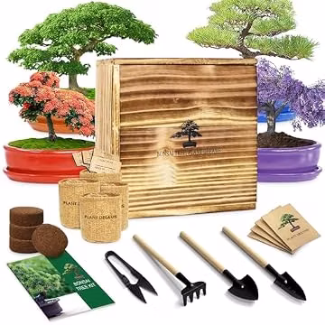 Bonsai Tree Starter Kit for Beginners - Indoor Live Plant Gardening Adult Craft DIY Kits - Unique Christmas, Birthday, White Elephant Gifts for Women, Men, Boys & Girls