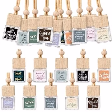 Havawish 20 Pcs Employee Appreciation Gift Bulk Car Diffuser Air Freshener Hanging Ornament Back to School Gifts for Teacher Glass Essential Oil Diffuser Thank You for Coworker Staff Volunteer