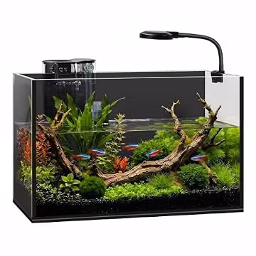 2 Gallon Small Fish Tank with Light and Filter Desktop Aquarium Starter Kit