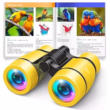 Toys for 3-7 Year Old Girl Boy: LET'S GO! Bird Watching Binoculars for Kids Ages 3 4 5 6 7 Year Old Girls Boys Outside Learning Toy for Kid Christmas Preschool Gift Toddler Binoculars Toy Stuffers