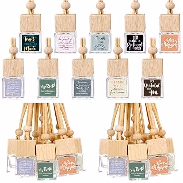 Havawish 50 Pcs Employee Appreciation Gift Bulk Car Diffuser Air Freshener Hanging Ornament Back to School Gifts for Teacher Glass Essential Oil Diffuser Thank You for Coworker Staff Volunteer