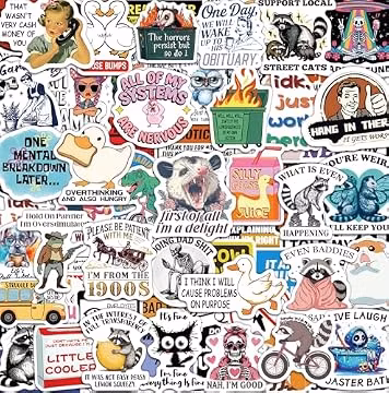 300 Pcs Funny Stickers for Adults, Sticker Pack for Water Bottle Laptop