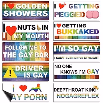 Frienda 10 Pcs Bumper Decals Funny LGBT Stickers Rainbow Bumper Prank Car Stickers Colorful Car Accessories for Truck Vehicle Luggage Window Refrigerator(Magnetic,Classic Style)
